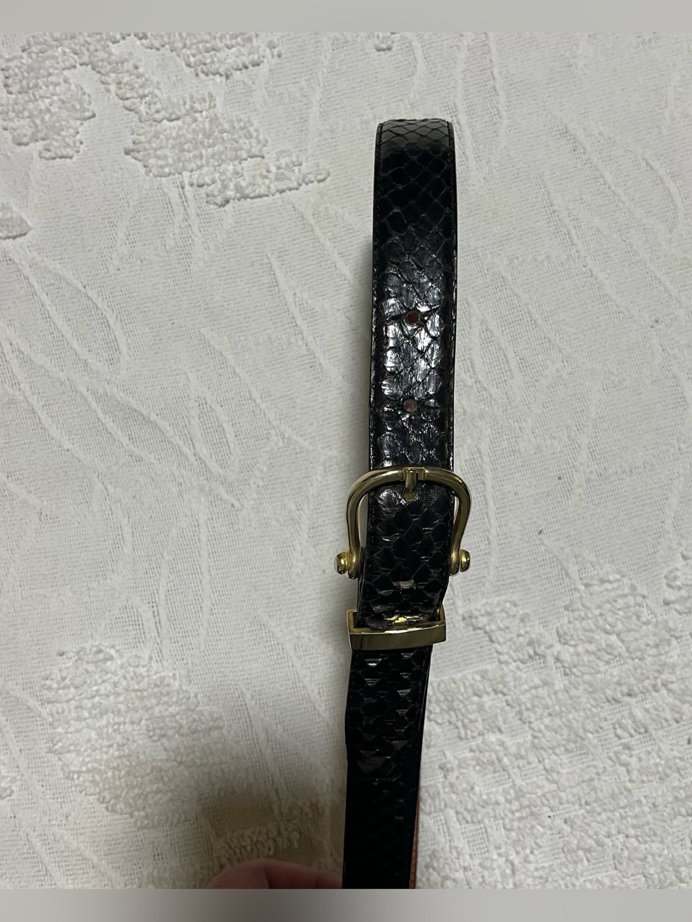 Brown Snakeskin Belt with Brass Buckle